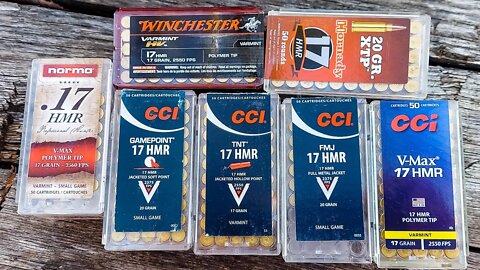 17 HMR Ammo Test - 100 Yard Groups