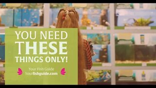 Start A Freshwater Aquarium ~ THIS IS ALL YOU NEED | A MUST WATCH