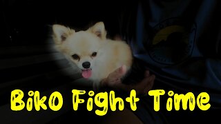Biko Fight Time