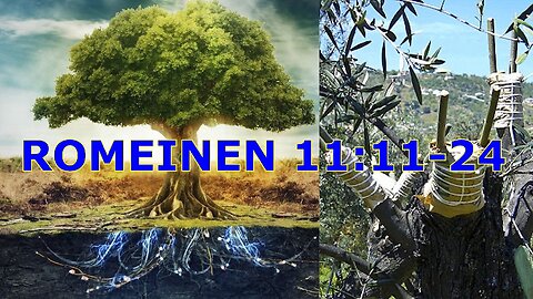 Romeinen 11:11-24 Israël is de wortel voor de heidenen Preek door Wilfred Starrenburg