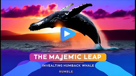 The Majestic Leap: Unveiling the Humpback Whale
