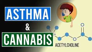 Does Cannabis Help with Asthma?