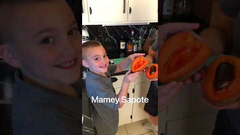 How to turn a SUPERFOOD (Mamey Sapote) into a SUPER DELICIOUS DESSERT! #shorts #viral #tiktok
