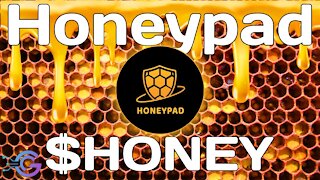 What is Honeypad? Honeypad ($HONEY) Explained! | What the FUD Episode 11