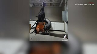 Ohio woman calls 911 after getting stuck upside down in gym