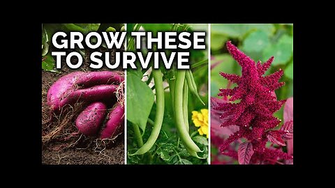 7 Survival Crops to Grow for MAXIMUM Calories