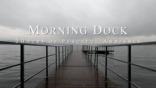 Morning Dock | 3 Hours of Peaceful Ambient ASMR Nature Sounds | HD