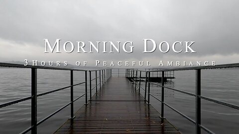 Morning Dock | 3 Hours of Peaceful Ambient ASMR Nature Sounds | HD