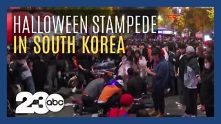 Halloween stampede in South Korea