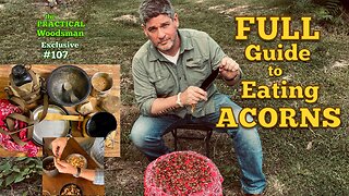 Exclusive 107: Full Guide to Eating Acorns