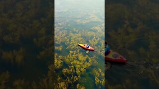 Kayaking in the seaweed