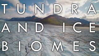 The Tundra Biome and Ice Biome - Biomes#8