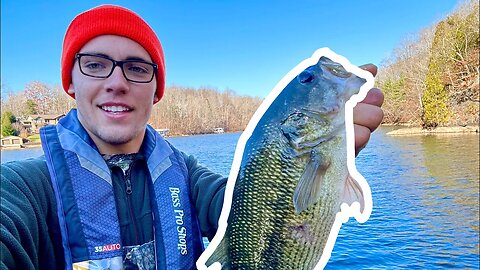 Bass LOVE The Dropshot! | Catch Fish ALL YEAR