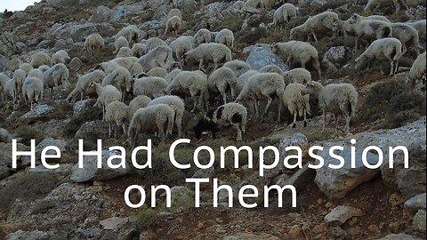 He Had Compassion on Them - Mark 6:30-34 - July 21, 2024