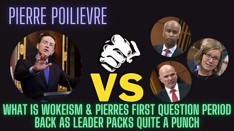 What is Woke? Pierre Poilievre DESTROYS the Liberals in the first question period back as leader.