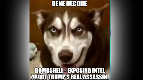 Gene Decode BOMBSHELL - Exposing Intel About Trump's REAL Assassin - July 26..