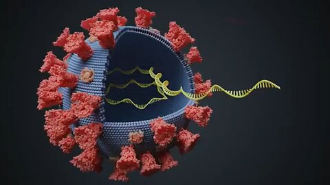 How Reliable is the PCR Test?