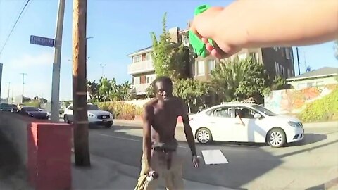 LAPD vs Zombie Man Armed with Wooden Plank and Slingshot