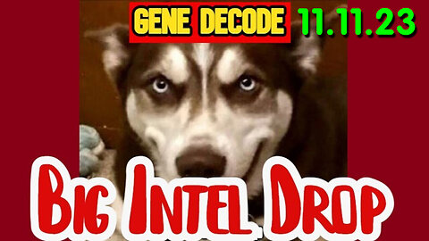 Gene Decode DUMBS Intel 11.11.2Q23