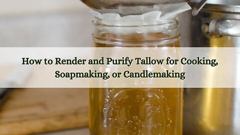 How to Render and Purify Tallow for Cooking, Soap making, or Candle making