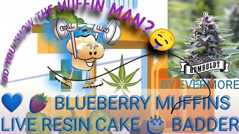 Have u Met The Muffin Man? BLUEBERRY Muffins Live Resin Budder - Terpological DnA