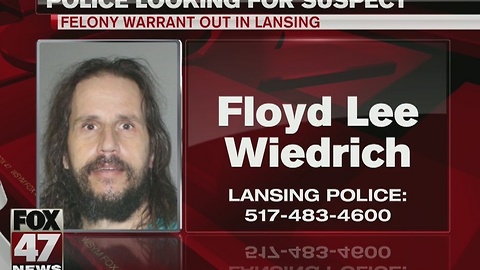 Lansing police look for man with felony warrant