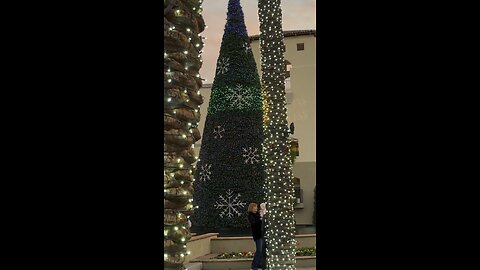 Christmas Tree playing the Peanuts Theme