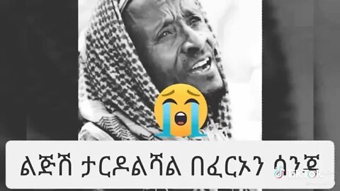 ምን ተሰማሽ ይሆን?..