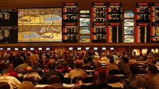 Sports betting is everywhere now, but is it paying off?