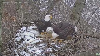 Hays Eagles Dad brings Mom gift fish 2022 01 30 13:44