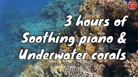 Soothing music with piano and underwater sound for 3 hours, music for work & study