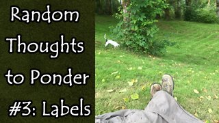 Random Thoughts to Ponder #3: Labels