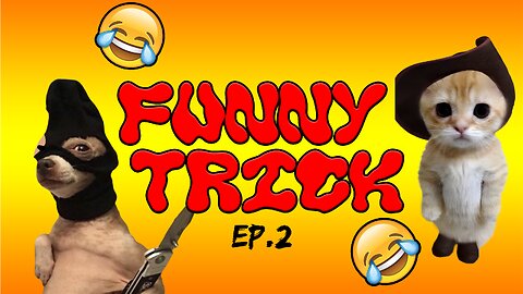 Funny Animals EP 2!!!