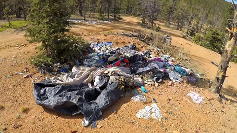 Trash (Animal Burial) - FR381.A WYE NORTH - Gold Camp Area