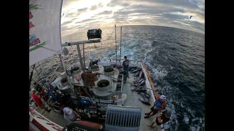 Bluefin Tuna fishing aboard the Sea Adventure 80