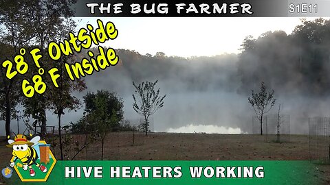 Beehive Heater Update -- The Internal beehive heaters are working. All bees are warm on a cold night