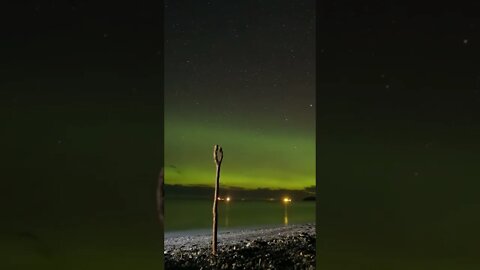 Halibut fishing under the northern lights. Alaska