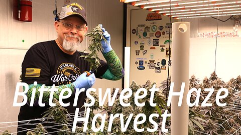 Cannatrol Cool Cure Harvest: Bittersweet Haze End Of Run