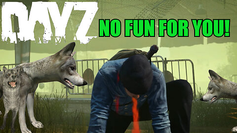 DayZ - No Fun For You