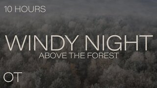 Soothing Wind Sounds For Sleeping / Relaxation / Studying - A WINDY NIGHT ABOVE THE FOREST |10 HOURS