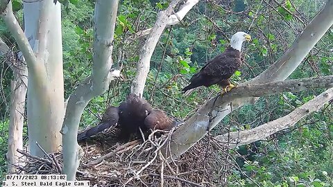 USS Eagle Cam 1 7-17-23 @ 8:12 am Irvin brings in fish for Hop.