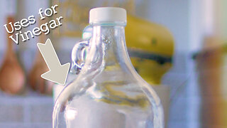 The Curious Case of Vinegar