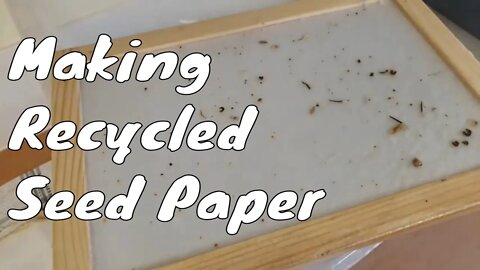Making Recycled Seed Paper At Home