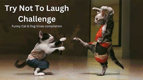 Try Not To Laugh Challenge - Funny Cat & Dog Vines compilation 2017