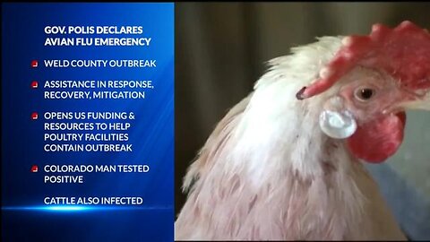 An estimated 1,800,000 more chickens to be culled, Bird Flu Outbreak is now an emergency