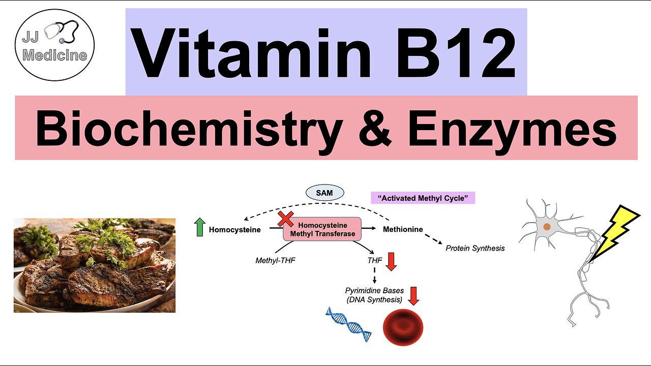 Vitamin B12 & Why We Need It | Biochemistry, Absorption, & Important ...