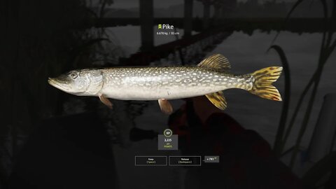 Russian Fishing 4 Volkhov River Pike 6 . 678 Kg