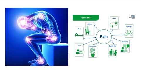 The Natural Pain Killer - PEA (Palmitoylethanolamide)