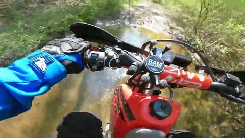 Back on the trail after a bar-bending creek crash! (Dual Sports)