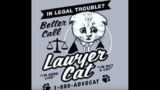 Lawyer Cat